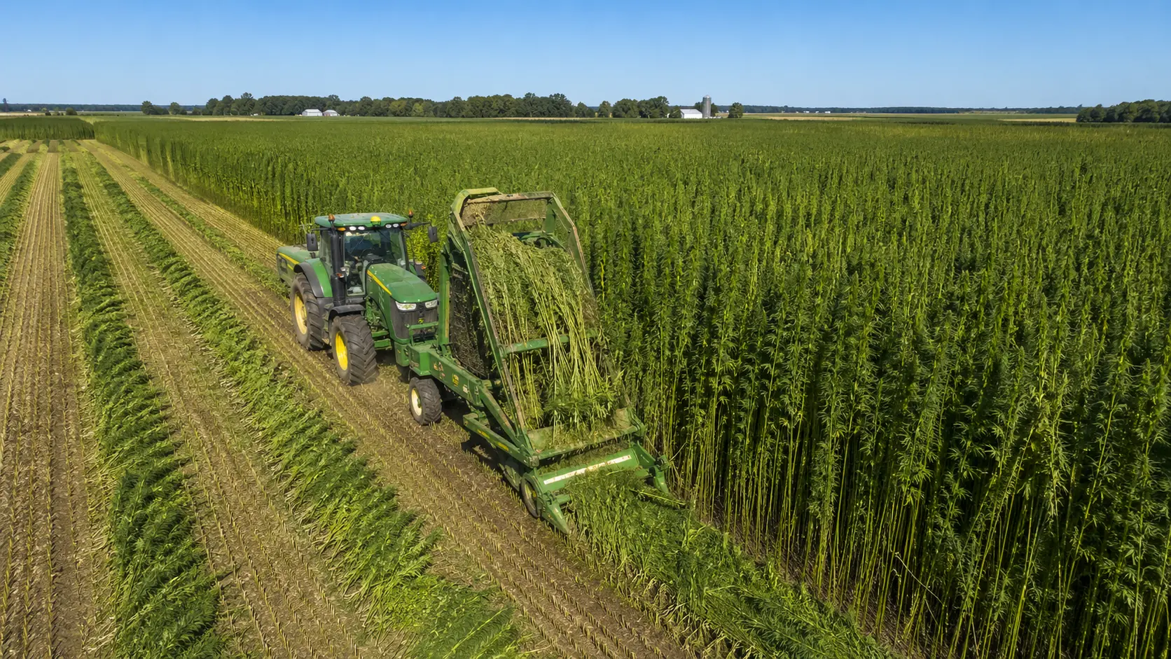 "Tennessee Hemp Is Changing in June: What Shoppers and Retailers Need to Know Before June 30"